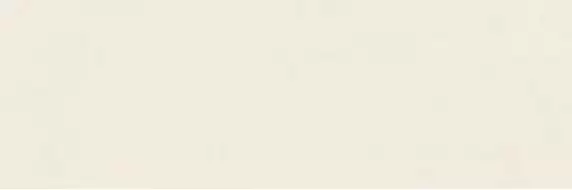 RA6C Плитка Vida Beige Rett 30x90